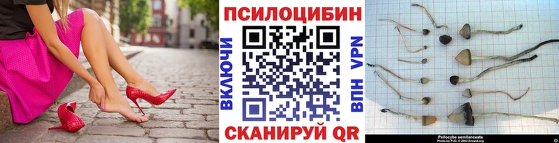 hydra ТОР  Олонец  Псилоцибиновые грибы GOLDEN TEACHER 